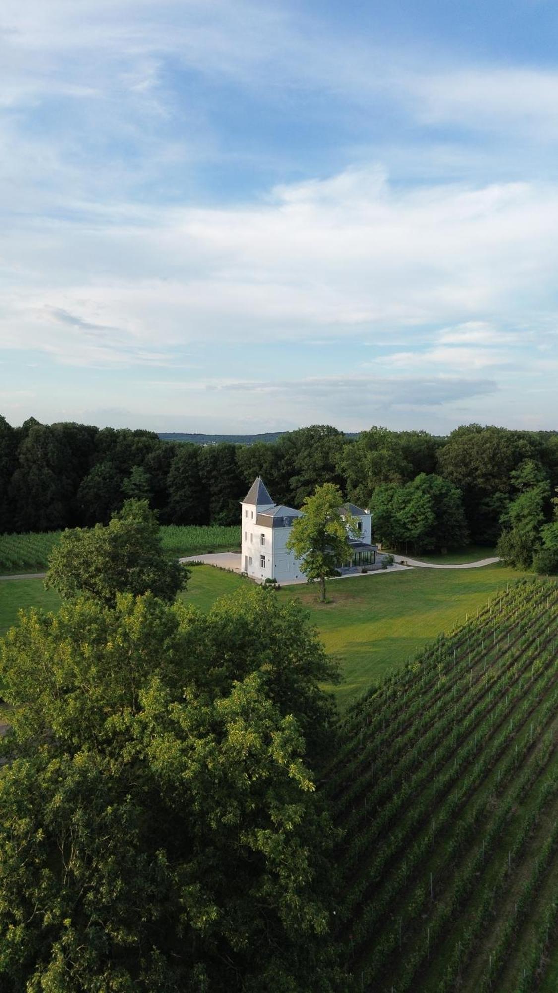 Villa Wijnkasteel Haksberg à Tielt Extérieur photo
